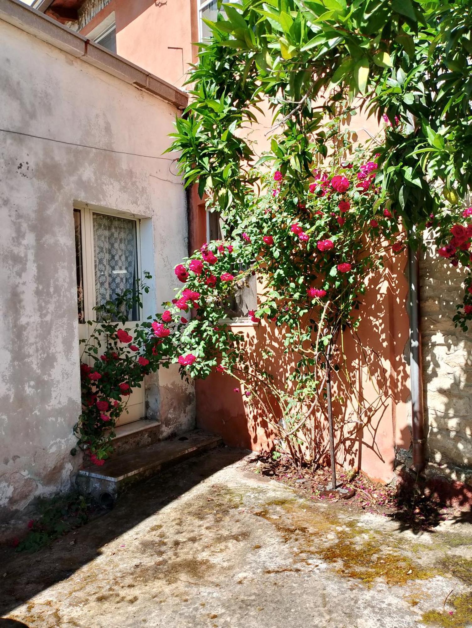 La Corte Degli Aranci Senorbi Bagian luar foto